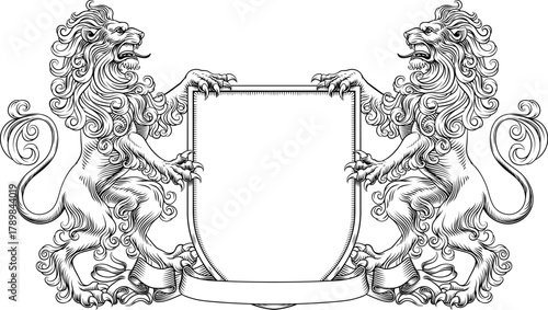 A heraldry crest lion family coat of arms heraldic shield emblem design in an old medieval vintage style