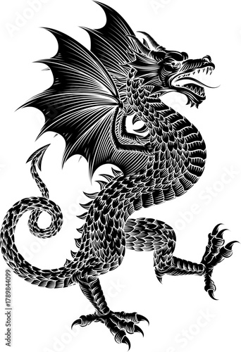 A heraldry coat of arms crest style heraldic wyvern dragon in a vintage woodcut style