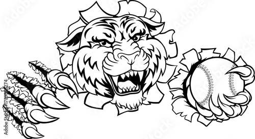 A tiger animal baseball or ...