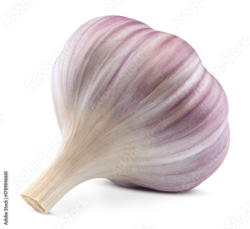 Fresh organic garlic isolated on transparent background