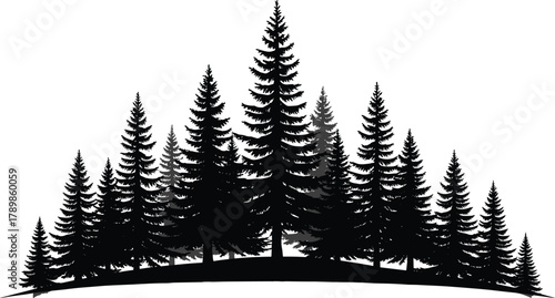 Pine tree silhouette, forest hill, coniferous woodland, evergreen nature, wilderness landscape, outdoor scenery, natural beauty, mountain forest, wild environment, scenic illustration