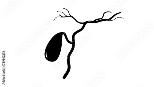 gallbladder symbol, black isolated silhouette