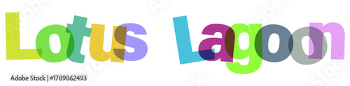 Lotus Lagoon Typographic Lettering with Vivid Colorful Palette Concept for Unique Branding and Visual Art Style Design