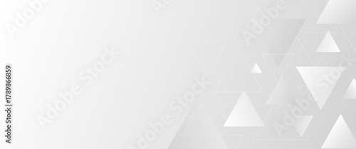 Abstract elegant triangle. White silver grey geometric universal background. modern design background with geometric shape. abstract graphic design banner pattern background template. Vector .	