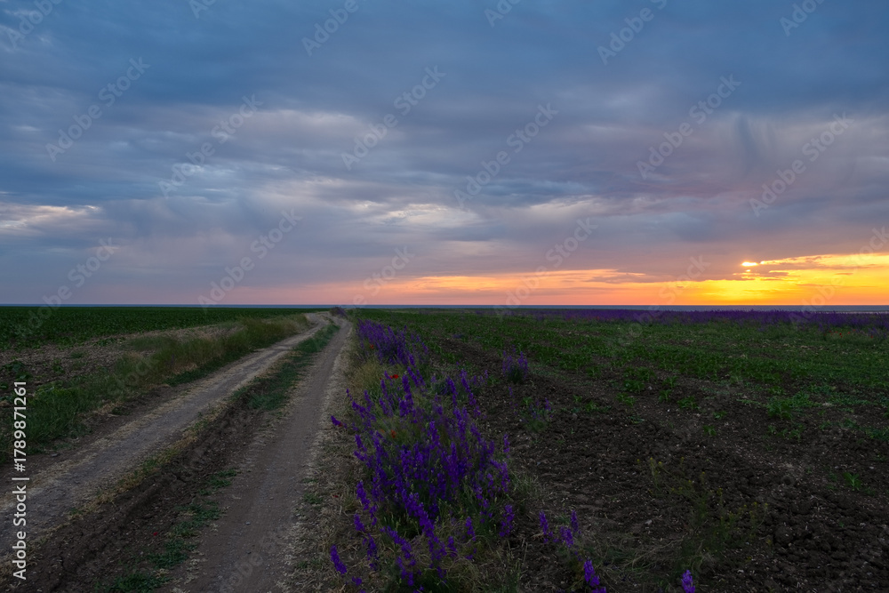 Obraz premium Landscape road sunset flowers. Dirt road to the sea. Delphiniums and poppies grow along the edge. Colorful atmospheric landscape of a warm summer evening. The concept of travel recreation and weekends