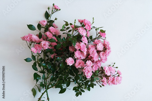 Pink small garden roses bouquet lying on white background.