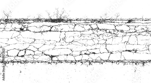 Black and white cracked texture with sparse bare tree branches against white background abstract