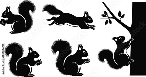 Squirrel silhouette set, wildlife animal collection, squirrels eating, running, climbing tree, forest nature vector art design, cad drawing flat vector illustration