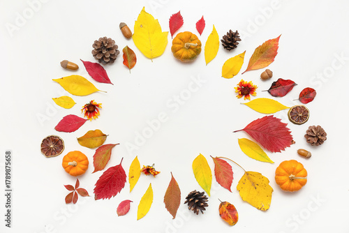 Autumn harvest festival fla...