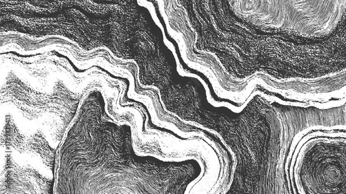 Abstract black and white swirling lines and textures resembling topographic map or wood grain background
