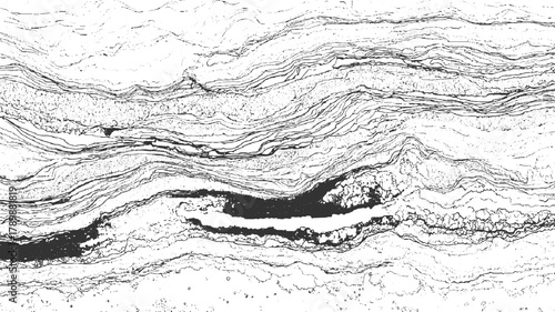 Black and white abstract textured background with organic wavy lines and granular details vector