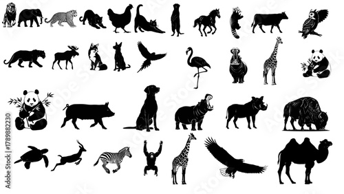 Silhouette of various animals, including mammals, birds, reptiles, and amphibians, showcasing a diverse range of wildlife species in a vector format