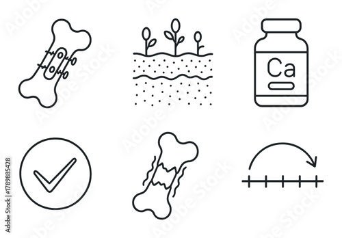 Bone healing and calcium supplementation diagram with growth stages