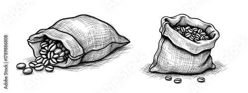 Hand-Drawn Burlap Sacks of Coffee Beans in Vintage Sketch Style. Vector Illustration for Artisanal Coffee Concepts.