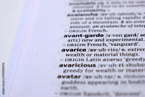 Obraz na plátně Close Up Of English Dictionary Page With Word -  avarice