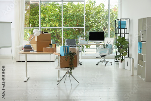 Many moving boxes, houseplants and furniture in new office