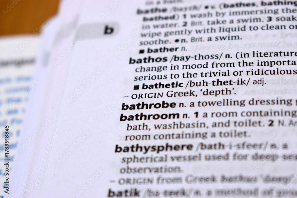 Obraz premium Close Up Of English Dictionary Page With Word - bathrobe