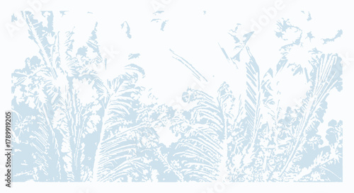 Delicate frost patterns on glass, a winter's icy embrace conjuring a sense of serenity and cold beauty, evocative of nature's frozen artistry