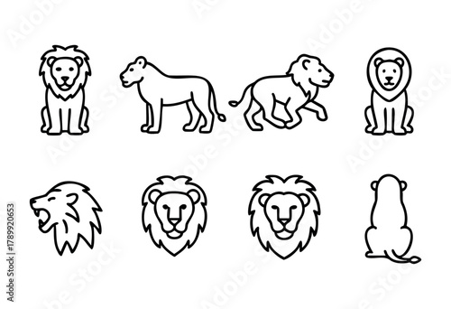 Set of eight line art lion illustrations. Different views of a lion, lioness, and cub are shown, including frontal, profile, and rear views. Simple, clean, and bold line style.