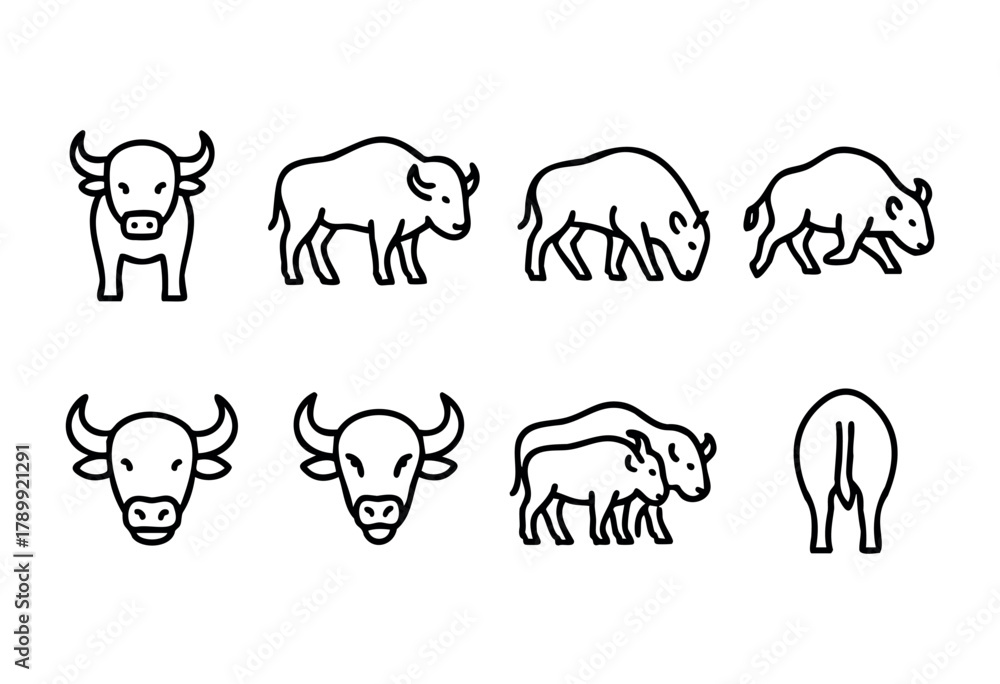 Fototapeta premium Set of line art illustrations depicting various views of bulls and bison. Includes full body, headshots, and rear views, ideal for branding, iconography, or educational materials.
