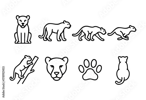 Set of eight line art illustrations depicting a cougar in various poses, including standing, walking, running, climbing a tree, and a head-on view, alongside a paw print and back view. The style is mi
