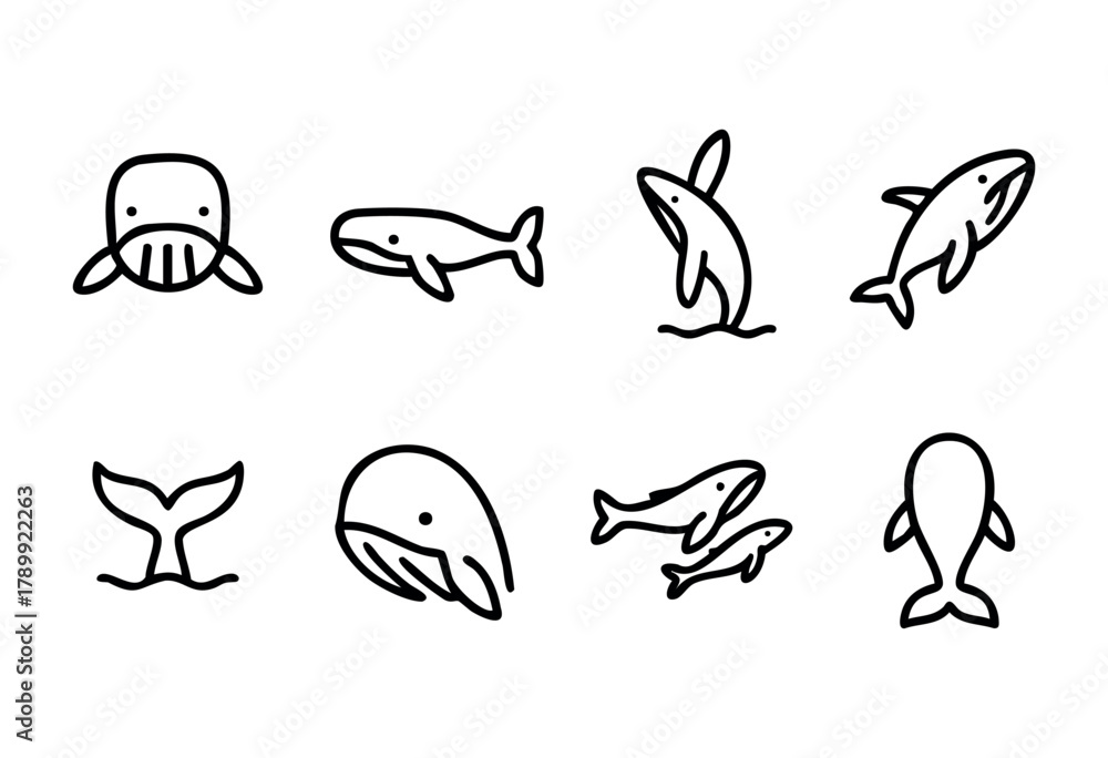 Naklejka premium Set of eight simple line art illustrations of whales in various poses, including swimming, breaching, and showing tails. Perfect for children's books, websites, or educational materials.