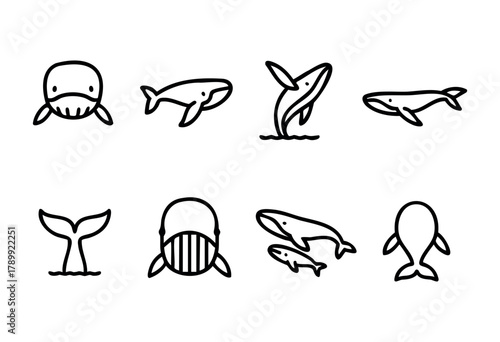 Set of nine line art whale icons in different poses, including swimming, breaching, and tail fluke. Simple, minimalist style, perfect for children's books, websites, or app design.