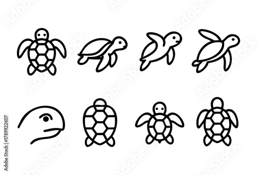 Set of eight line art illustrations of sea turtles in various poses and perspectives, including swimming and stationary views. Simple, bold outlines on a white background. Ideal for children's books, 