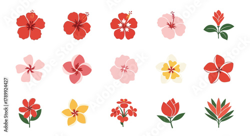 A collection of various stylized tropical flowers and blossoms in red, pink, and yellow colors on a white background.