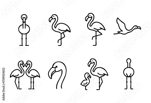 Collection of eight line art flamingo illustrations, showcasing different poses and perspectives, including standing, flying and a pair of flamingos facing each other. Simple, clean style perfect for 