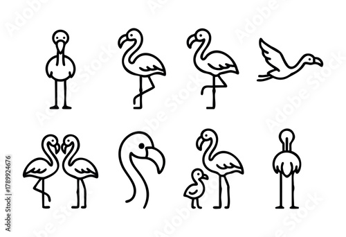 A set of eight line art illustrations depicting flamingos in various poses, including standing, flying, and a pair of flamingos facing each other. 