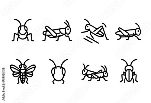 A set of eight simple line art illustrations of grasshoppers and insects. The images are in a consistent black outline style on a white background, suitable for icons or graphic design elements.