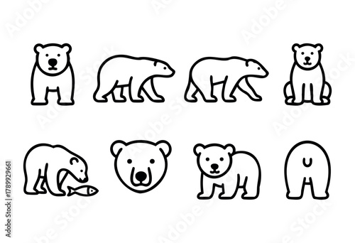 Set of eight line art polar bear illustrations in various poses, including standing, walking, sitting, eating fish, and head shot. Simple, bold black lines on a white background.