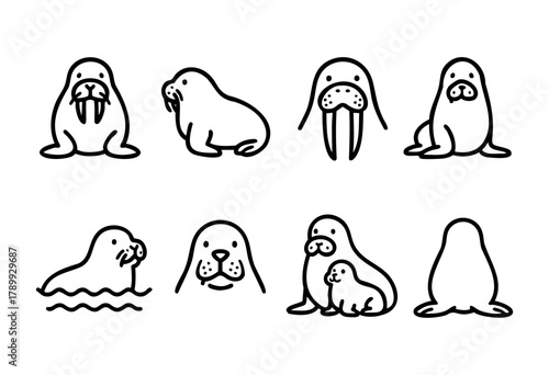 A set of eight cute walrus line art illustrations in various poses, including a walrus in water, a mother walrus with a baby, and different views of the walrus. Perfect for children's books, education