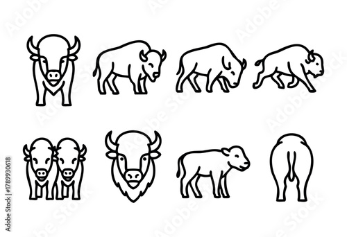 Set of line art illustrations of bison in various poses, including front, side, and back views, as well as a pair and a calf. Simple, bold black outlines on a white background. Perfect for logo design