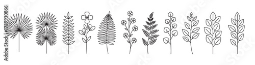 Minimalist botanical outline elements. A diverse collection of various leaves and floral branches. Ideal for elegant nature inspired design projects and branding