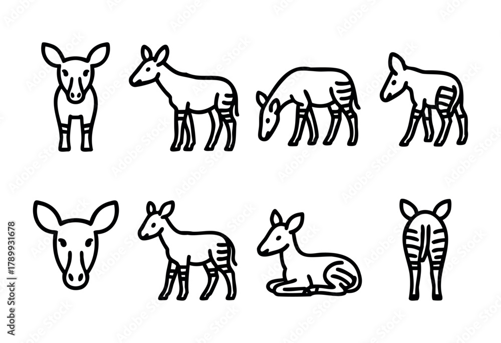 Obraz premium A set of eight line art illustrations depicting okapi in various poses and views. The style is simple, bold, and consistent throughout. Perfect for educational materials, children's books, or logo des