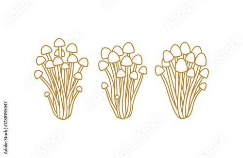 A vector collection featuring silhouettes of Enoki mushrooms, also known as Flammulina filiformis, depicted in black against a white background