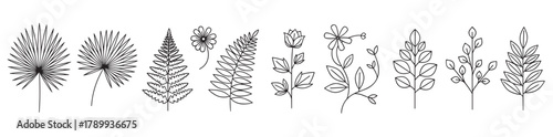 A diverse collection of botanical line art elements. Featuring various leaves, ferns, and delicate flowers. Ideal for natural branding, decorative design, or organic themes