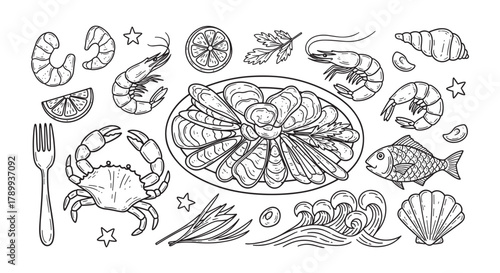 Hand drawn seafood collection featuring fresh oysters, shrimp, and crab. Ideal for restaurant menus, culinary designs, and gourmet food themes. Outline style elements