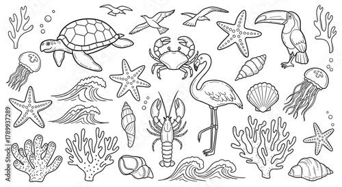 Collection of hand drawn sea animals and tropical birds in a doodle style. Outline icons of marine life like turtle, crab, and flamingo for coloring book pages
