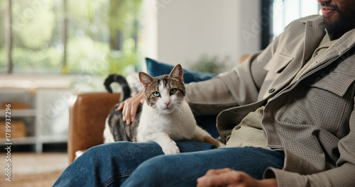 Bilde på lerret Hand, portrait and man on sofa with cat, fur rub and animal bonding on weekend break