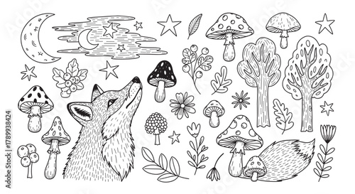 Collection of hand drawn forest elements with a fox, mushrooms, and trees. Cute doodle set with magical night sky objects like the moon and stars. Isolated black and white line art
