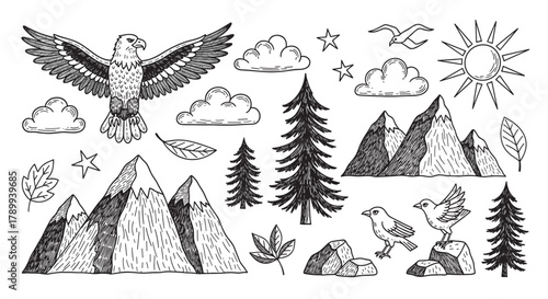 Collection of hand drawn nature elements for outdoor adventure themes. This set includes a bald eagle, mountain range, pine trees, birds, sun, and other wild icons