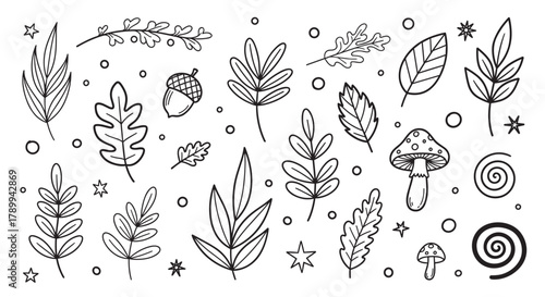 Hand drawn collection of autumn forest elements in a doodle style. Minimalist line art icons with leaves, mushrooms, and acorns for seasonal decoration or creative projects
