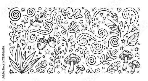 Collection of cute autumn forest elements in a hand drawn doodle style. Black and white line art with leaves, acorns, mushrooms and stars for seasonal decoration or coloring