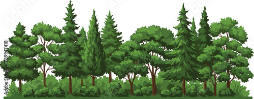 Dense forest landscape, lush green trees, natural woodland scenery, pine and fir forest, vibrant foliage, biodiversity ecosystem, environmental conservation, nature background