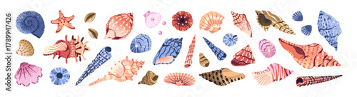 Photos Set of colourful seashells