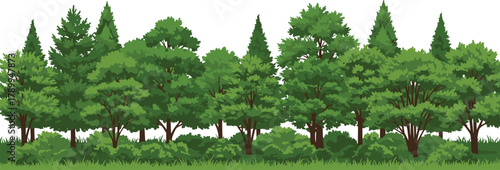 Dense forest landscape, lush green trees, natural woodland environment, pine tree forest, vibrant foliage, thriving ecosystem, biodiversity habitat, environmental conservation, nature background