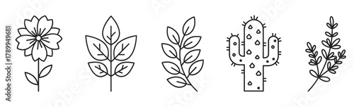 Minimalist line art icons featuring diverse plants and botanicals. This set includes a flower, various leaves, and a cactus. Ideal for modern web, app, or print design projects